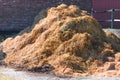 A manure pile on a farm Royalty Free Stock Photo