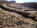 Manure. Small balls of winter fertilizer for cultivation scattered in the agricultural field. Royalty Free Stock Photo