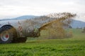 Manure is fertilized - closeup