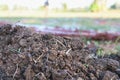 Manure is used to make organic fertilizers
