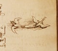 Manuscript, drawings, bird\'s flight by Leonardo Da Vinci in the old book The Codice Sul Volo, by E. Rouveyre , 1893