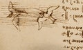 Manuscript, drawings, bird\'s flight by Leonardo Da Vinci in the old book The Codice Sul Volo, by E. Rouveyre , 1893 Royalty Free Stock Photo