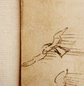 Manuscript, drawings, bird\'s flight by Leonardo Da Vinci in the old book The Codice Sul Volo, by E. Rouveyre , 1893