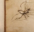 Manuscript, drawings, bird\'s flight by Leonardo Da Vinci in the old book The Codice Sul Volo, by E. Rouveyre , 1893 Royalty Free Stock Photo