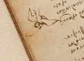 Manuscript, drawings, bird\'s flight by Leonardo Da Vinci in the old book The Codice Sul Volo, by E. Rouveyre , 1893