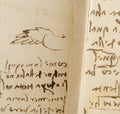 Manuscript, drawings, bird\'s wing by Leonardo Da Vinci in the old book The Codice Sul Volo, by E. Rouveyre , 1893 Royalty Free Stock Photo