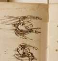 Manuscript, drawings, birds flight by Leonardo Da Vinci in the old book The Codice Sul Volo, by E. Rouveyre , 1893