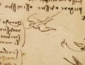 Manuscript, drawings, blueprints, birds by Leonardo Da Vinci in the old book The Codice Sul Volo, by E. Rouveyre , 1893