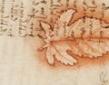 Manuscript, drawings, red leaf, blueprints by Leonardo Da Vinci in the old book The Codice Sul Volo, by E. Rouveyre , 1893