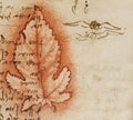 Manuscript, drawings, red leaf, blueprints by Leonardo Da Vinci in the old book The Codice Sul Volo, by E. Rouveyre , 1893