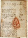 Manuscript, drawings, red leaf by Leonardo Da Vinci in the old book The Codice Sul Volo, by E. Rouveyre , 1893 Royalty Free Stock Photo