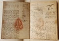 Manuscript, drawings, red leaf by Leonardo Da Vinci in the old book The Codice Sul Volo, by E. Rouveyre , 1893