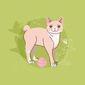 Manx cat with ball on green background. Pet character vector illustration Royalty Free Stock Photo