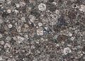 Many abstract different mosaic stones backgrounds Royalty Free Stock Photo