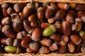 Many acorns in wicker basket, closeup view Royalty Free Stock Photo