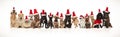 Many adorable pets of different breeds wearing santa hats Royalty Free Stock Photo