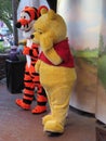 The Many Adventures of Winnie The Pooh at Walt DisneyÃ¢â¬â¢s Magic Kingdom Park, near Orlando, in Florida