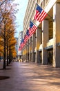 Many American Flags are affixed along a building in Washington DC