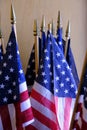 Many American Flags Showing Patriotism and National Pride Freedom Democracy