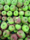 Many apples look neatly arranged on the fruit display rack to attract buyers