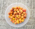 Many apricots in a plate. closeup of fresh apricots as background