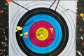 Many arrows in archery target, closeup