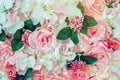 Many artificial pink and white roses are decorated on the glass door to the backdrop in the afternoon. Beautiful flowers Royalty Free Stock Photo