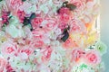 Many artificial pink and white roses are decorated on the glass door to the backdrop in the afternoon. Beautiful flowers Royalty Free Stock Photo