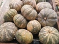 Many asian pumpkins fruits on the table.