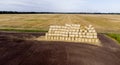 Many bales rolls straw after harvest collected together field autumn summer day.