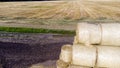 Many bales rolls straw harvest collected together on field autumn summer day Royalty Free Stock Photo