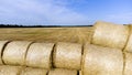 Many bales rolls straw harvest collected together field sunny autumn summer day. Royalty Free Stock Photo