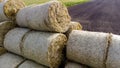 Many bales of straw field. Many bales rolls wheat straw stacked together field