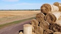 Many bales straw field. Many bales rolls wheat straw stacked together in field