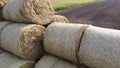 Many bales of straw field. Many bales rolls wheat straw stacked together field