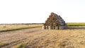 Many bales wheat straw rolls on wheat field after wheat harvest on sunset dawn