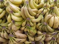 Many bananas on the market Royalty Free Stock Photo