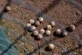 Baseball balls on the dirt ground through the metal grid fence