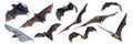 Many bats are flying on a white background. Royalty Free Stock Photo