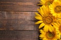 Many beautiful bright yellow sunflowers on a brown wooden background. top view with a place for inscription Royalty Free Stock Photo