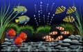 Many beautiful fish in fish tank with gravel and small trees decorated