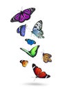 Many beautiful flying colorful butterflies on white background