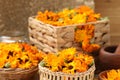 Many beautiful fresh calendula flowers on table Royalty Free Stock Photo