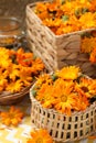 Many beautiful fresh calendula flowers on table Royalty Free Stock Photo