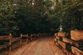 Many beautiful trees and pathway near wooden fence in autumn park outdoors Royalty Free Stock Photo