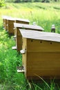 Many beautiful wooden beehives at outdoor apiary