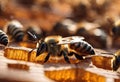 many bees that are all laying down on a wooden table