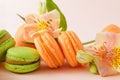 Many beige and green French macaroon cookies, yellow flower on a light