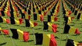 Many Belgium Flags on green grass.