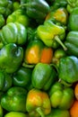 Many bell pepper on counter in grocery store close up